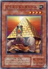 Pyramid Turtle