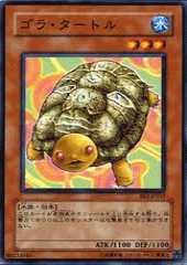 Gora Turtle