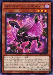 Roxrose Dragon