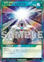 Miracle Contact (RD)