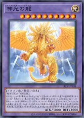 Enlightenment Dragon