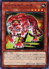 Amazoness Tiger