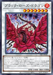 Black Rose Dragon