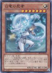 White Dragon Ninja