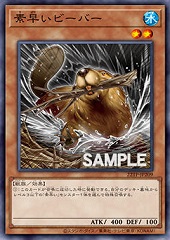 Nimble Beaver