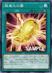 Cocoon of Ultra Evolution