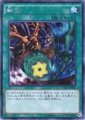 Polymerization