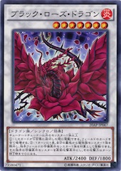 Black Rose Dragon