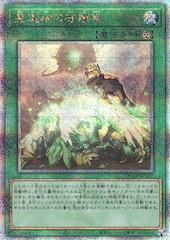 World Legacy Guardragon