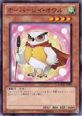 Overlay Owl