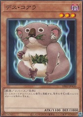 Des Koala