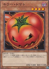 Mystic Tomato