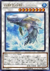 White Aura Whale