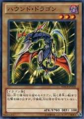 Hunter Dragon